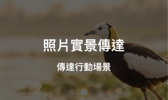 照片實景傳達：傳達行動場景