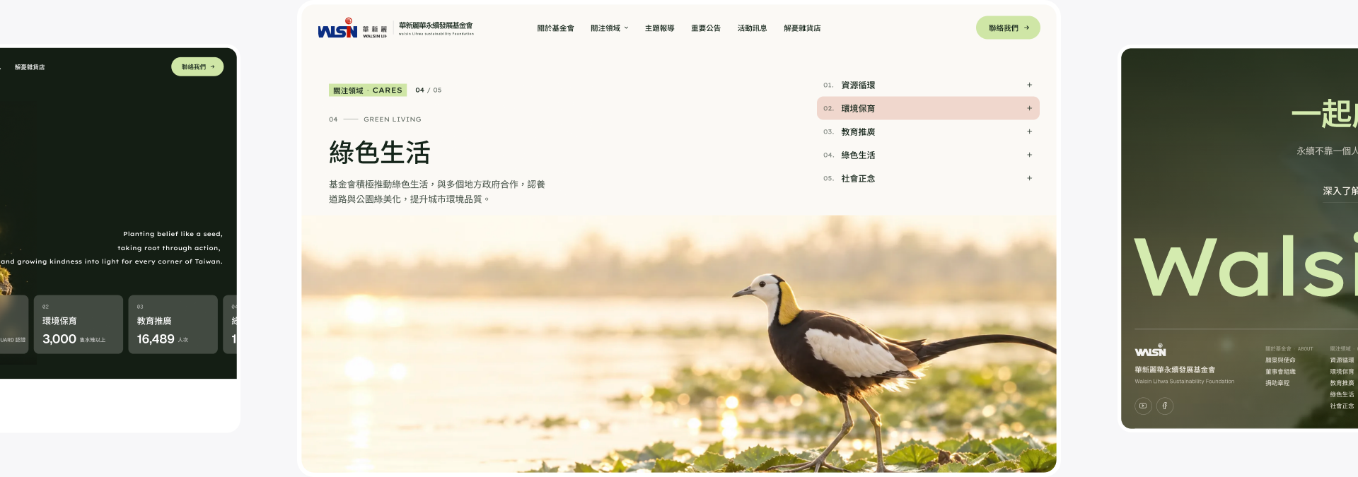關注領域區塊：水雉情境照與綠色生活內容